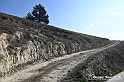 VBS_1143 - Santo Stefano Roero